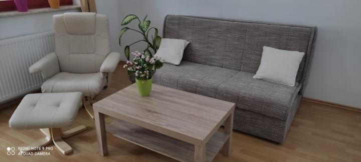 Apartmaji Bostjan Pristavec Kranjska Gora Buitenkant foto